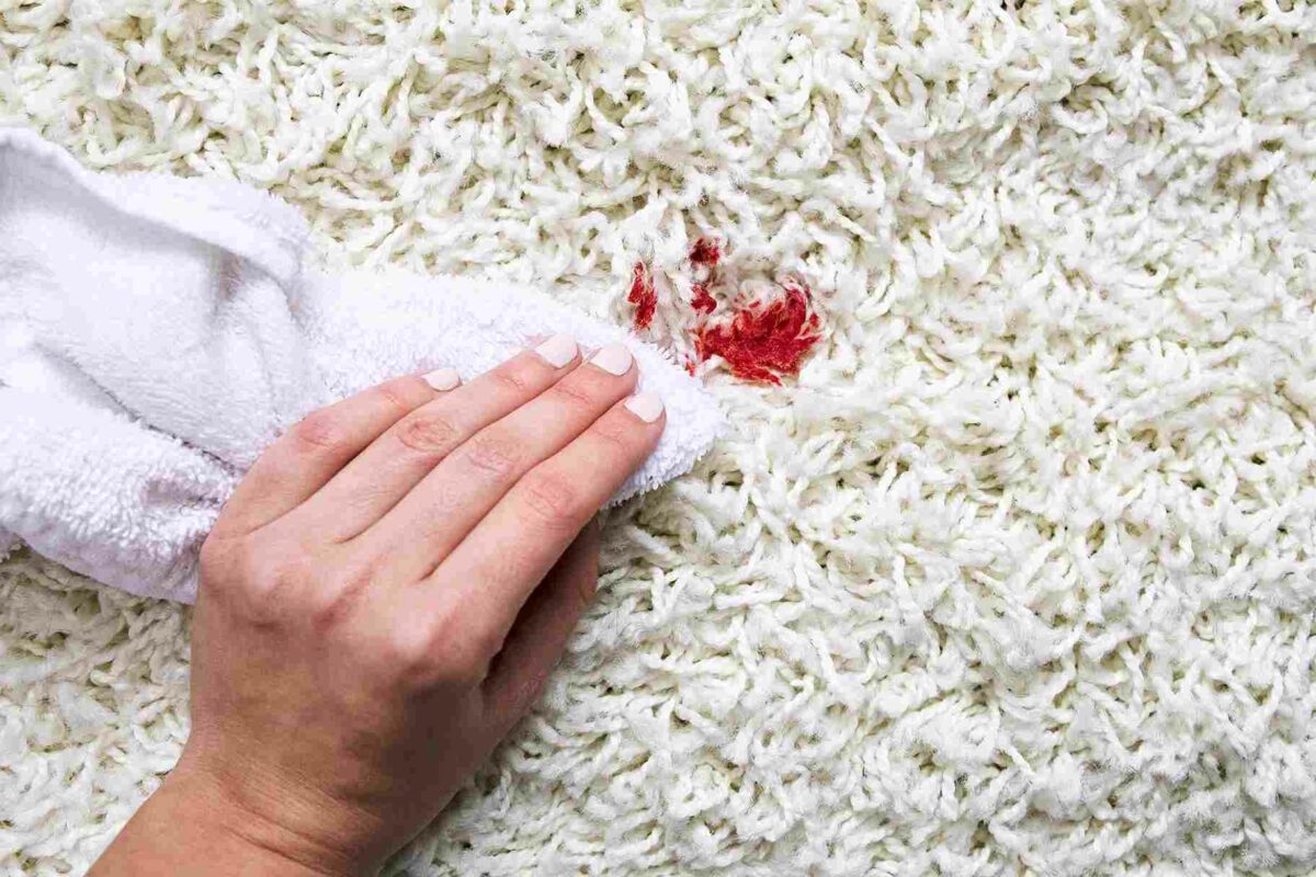 Get Blood Out of Carpet