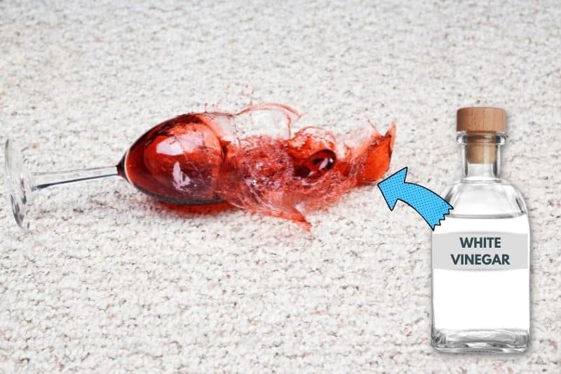 get Red wine out of Carpet with Vinegar