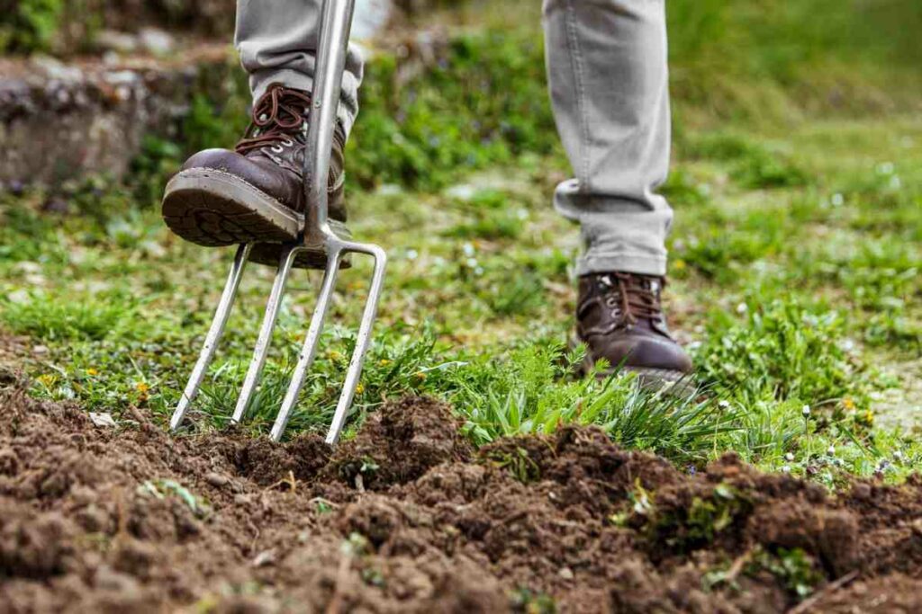 Garden Fork 